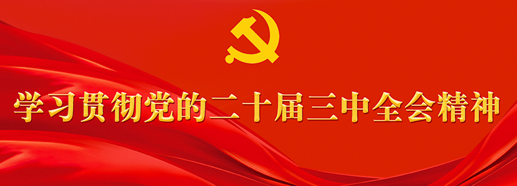 專題 | 學習貫徹黨的二十屆三中全會精神